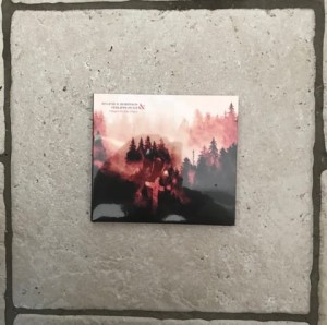 Eugene S. Robinson & Philippe Petit "Chapel in The Pines"