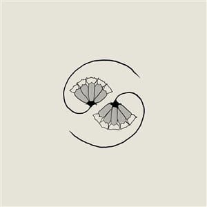GODSPEED YOU! BLACK EMPEROR "G_D'S PEE AT STATE'S END!" (LP + 10")