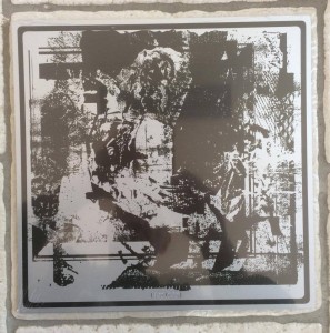 A Flower Kollapsed 10"