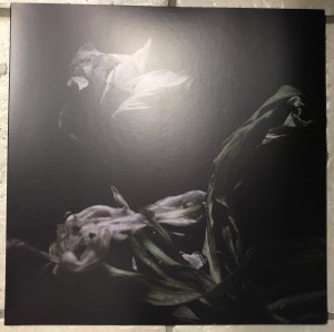 Cavernlight "As We Cup Our Hands and Drink From the Stream of Our Ache" LP