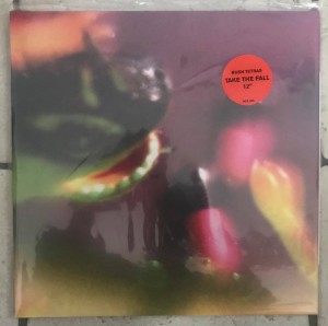 Bush Tetras "Take The Fall" mLP