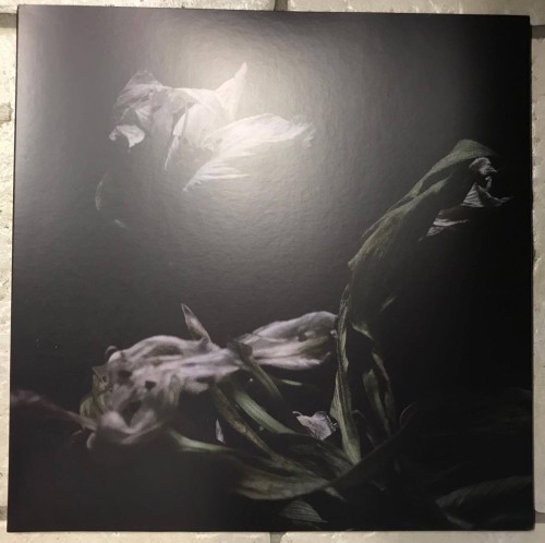 417b570f0ba341be320411a03ddad135