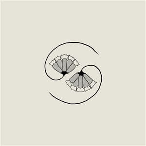GODSPEED YOU! BLACK EMPEROR "G_D'S PEE AT STATE'S END!" (LP + 10")