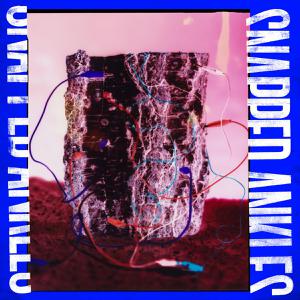 SNAPPED ANKLES "FOREST OF YOUR PROBLEMS" LP