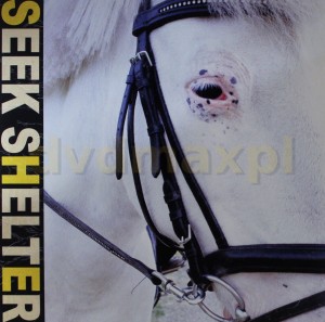 Iceage Seek Shelter" LP
