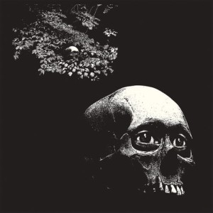 Osees "A Foul Form" LP