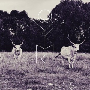  YAKIMA JERA "CAPTURE" LP, clear