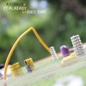 A Fungus "It Already Does That" LP