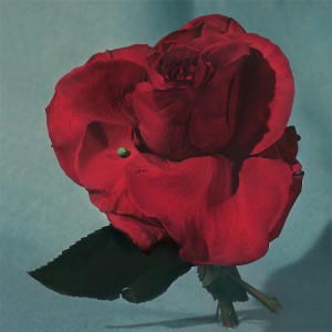 METZ "UP ON GRAVITY HILL" LP