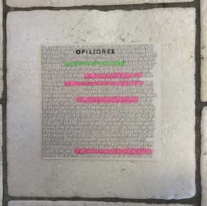 Opiliones "Constant Doubt" 7"