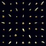  CLIPPING "VISIONS OF BODIES BEING BURNED" 2LP