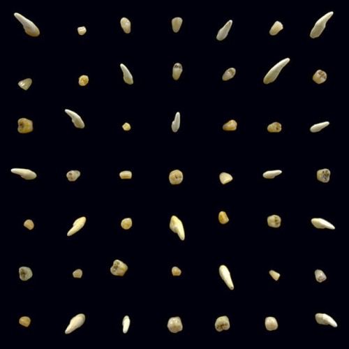 098787133110.jpg