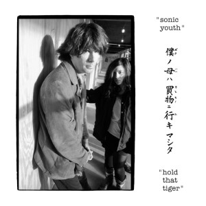 Sonic Youth "Hold That Tiger" 2LP