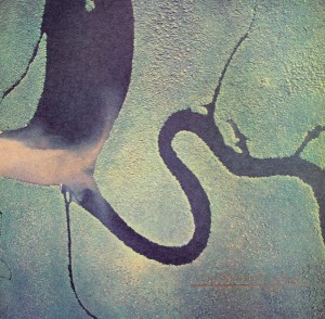 Dead Can Dance "The Serpent's Egg" LP