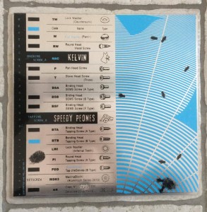 Kelvin|Speedy Peones split 10"