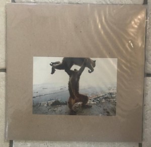 Shellac "Dude Incredible" LP