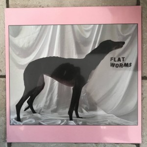 Flat Worms st LP